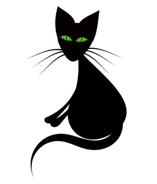siyah kedi