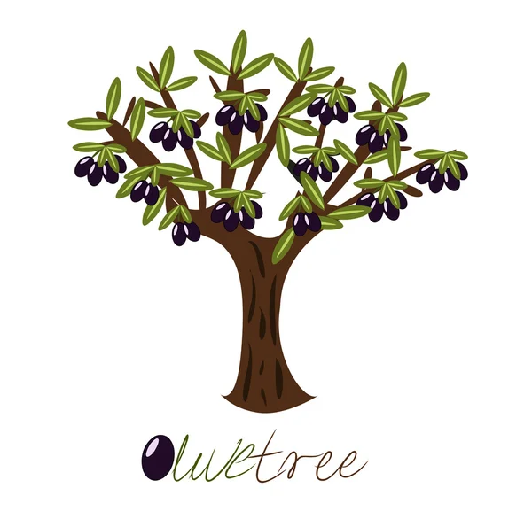 Olivenbaum — Stockvektor