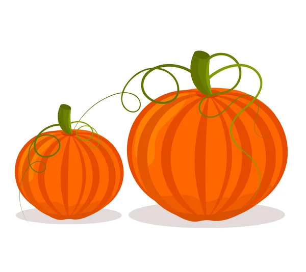 Illustration deux citrouilles — Image vectorielle