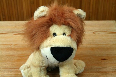 Aslan Kral