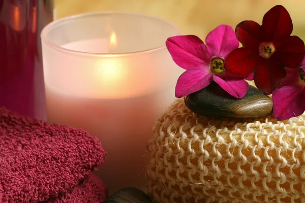 Spa and wellness therapy — Stock Photo, Image