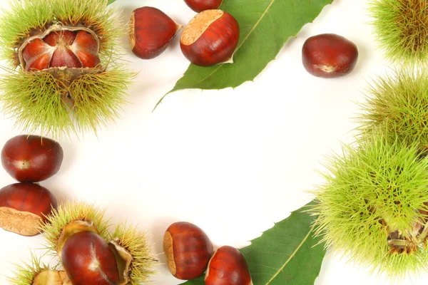 Chestnuts frame — Stock Photo, Image