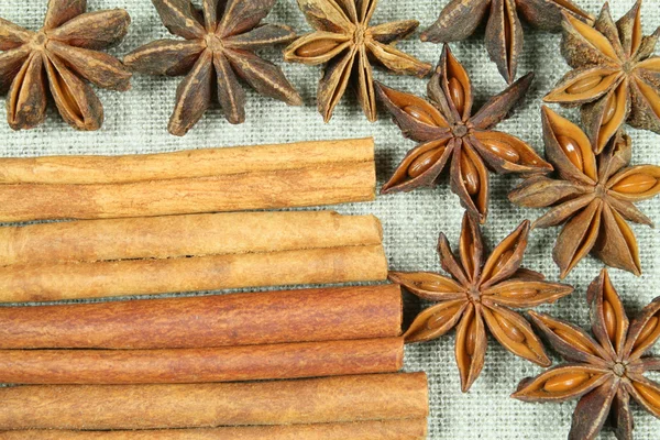 Aniseed and cinnamon — Stock Photo, Image