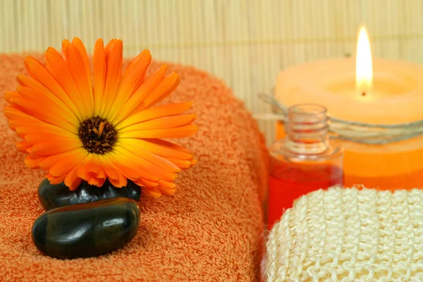 Marigold for beauty therapy — Stock Photo, Image