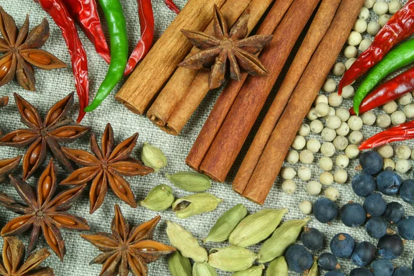 Spice collection — Stock Photo, Image