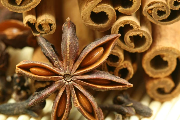 Aniseed and cinnamon — Stock Photo, Image