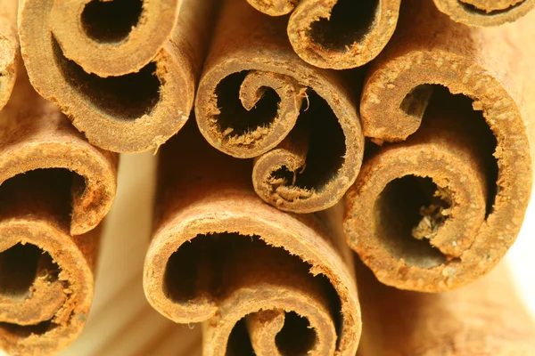 Macro - cinnamon sticks — Stock Photo, Image