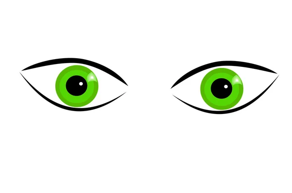 Глаза — стоковый вектор
