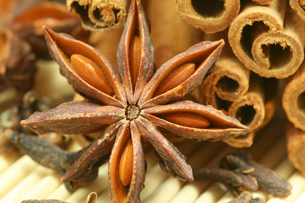 Anise star macro and spices — Stock Photo, Image