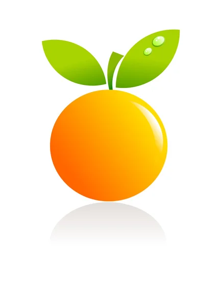 Illustrazione di frutta arancione — Vettoriale Stock