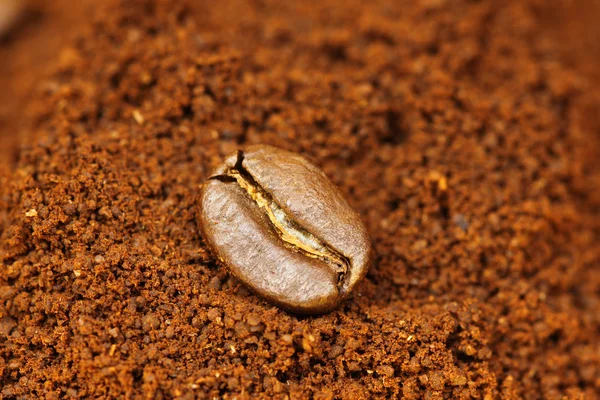 阿拉伯文咖啡豆 — 图库照片