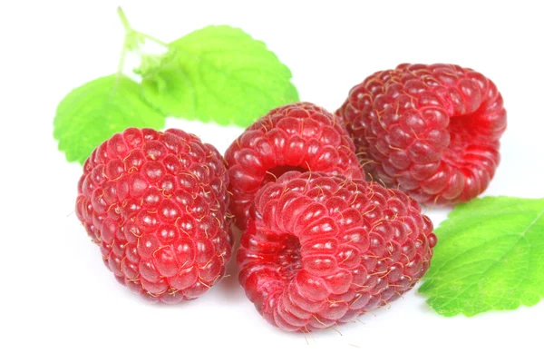 Raspberris with leaves Stock Picture