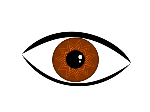 Brown vector eye — Stock Vector