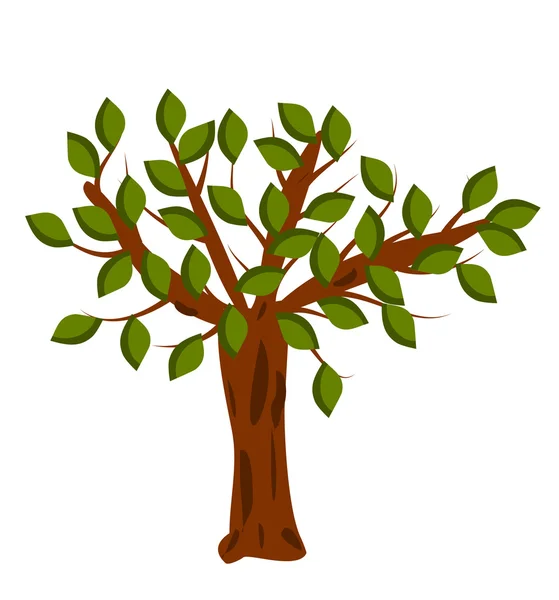 Tree — Stock Vector