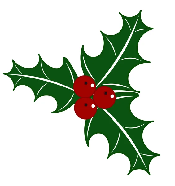 Holly — Stockvector