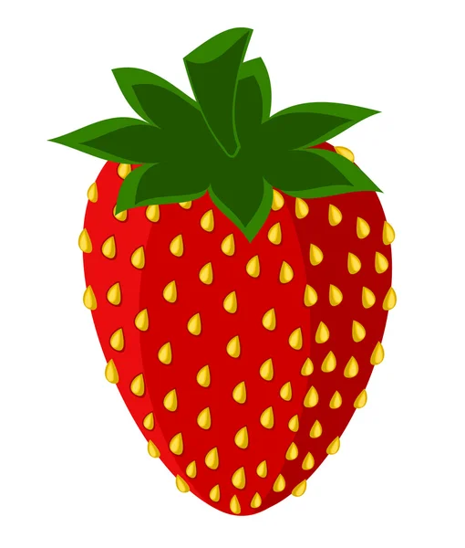Strawberry picture — Stock Vector