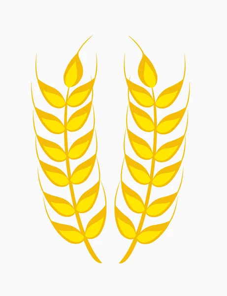 Oreille de céréales — Image vectorielle