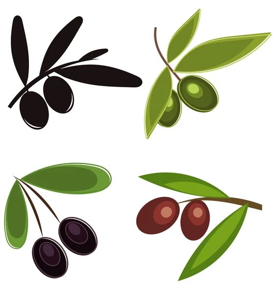 Olives — Stock Vector