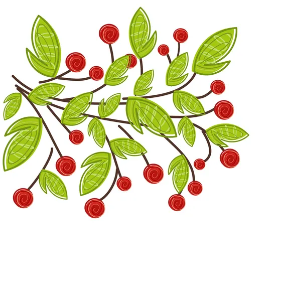 Zweig mit Früchten — Stockvektor