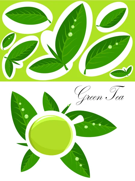 Sfondo tè verde — Vettoriale Stock