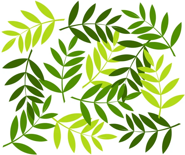 Green leaf background — Stock Vector