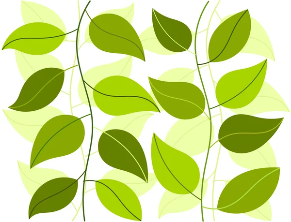 Grüne Pflanzen Hintergrund — Stockvektor