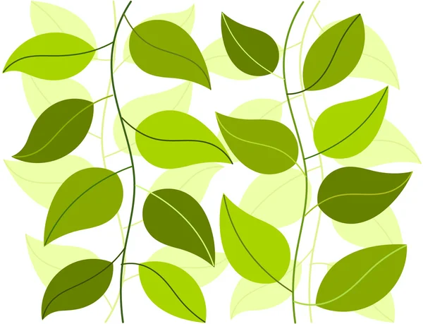 Fondo de plantas verdes — Vector de stock