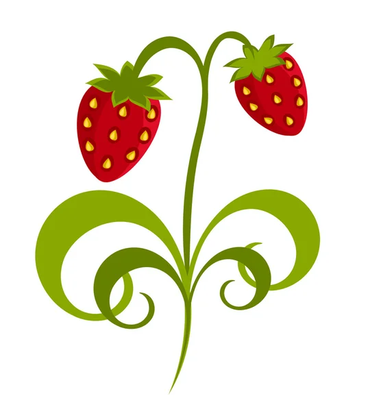 Strawberry — Stock Vector