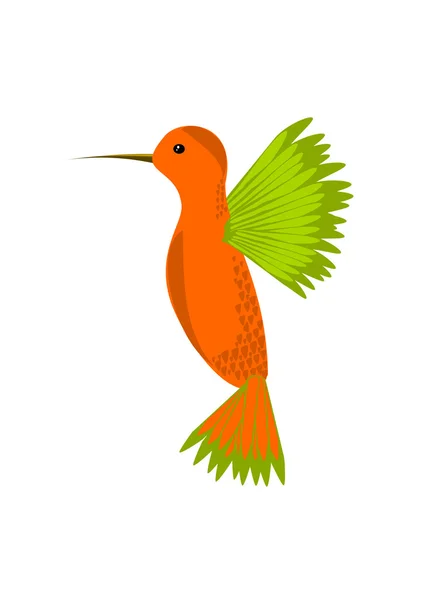 Hummingbird flying — Stock Vector