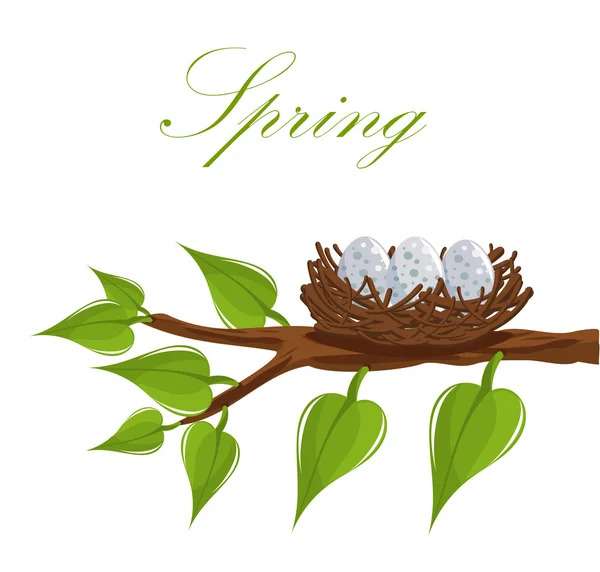 Frühlingsnest — Stockvektor