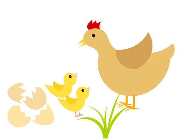 Gallinas y pollitos — Vector de stock