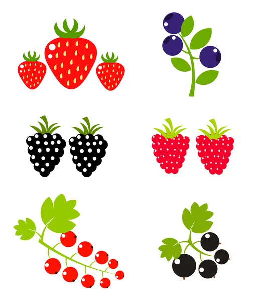 Frutas de bayas — Vector de stock