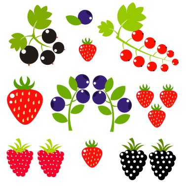 berry arka plan