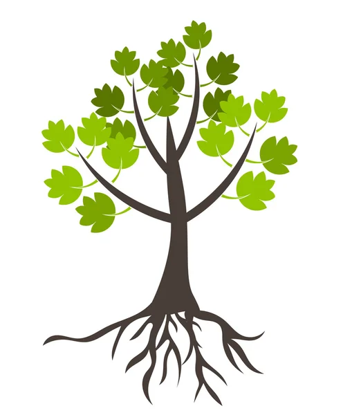 Árbol con raíces — Vector de stock