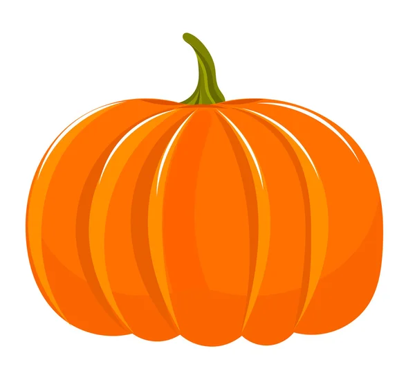 Pumpkin illustration — Stock Vector