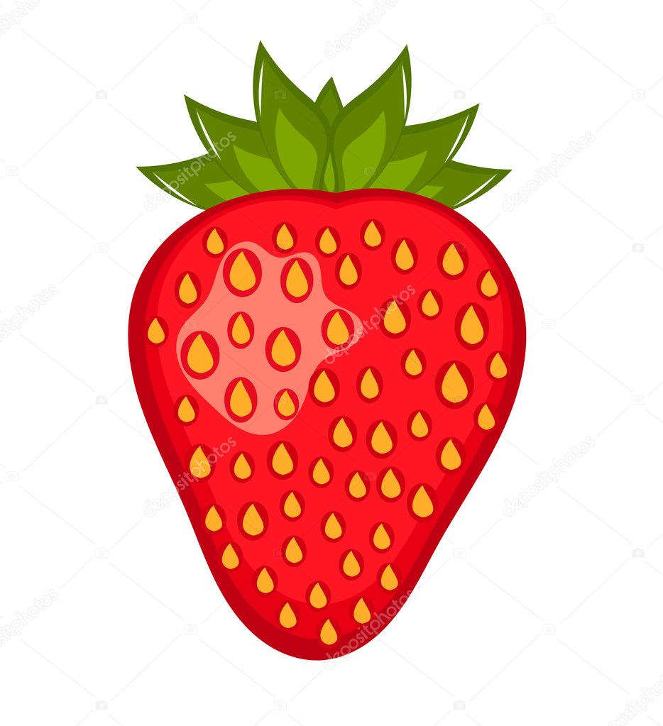 Strawberry vector