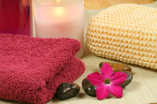 Tools for spa therapy — Stock Photo, Image