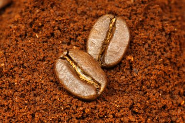 iki kahve çekirdekleri