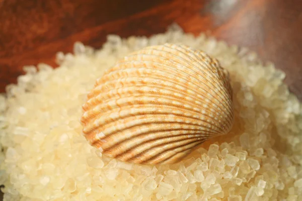 Seashell on salt pile — Stock Photo, Image