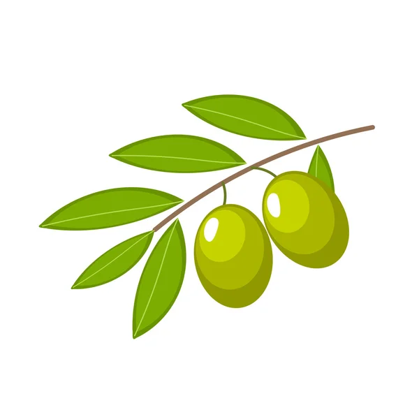 オリーブの枝 — ストックベクタ