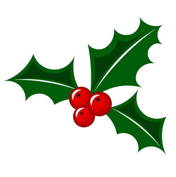 Baga de natal holly — Vetor de Stock