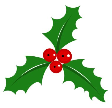 Holly berry