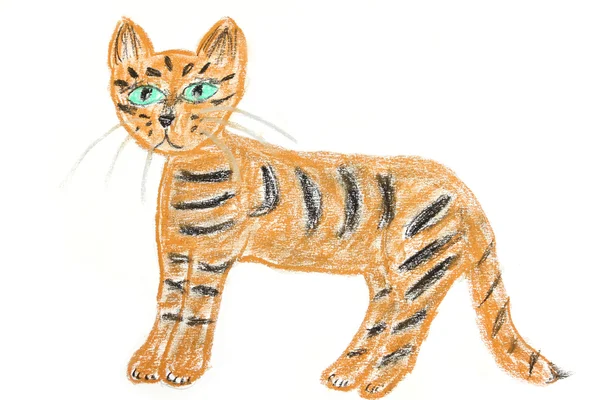 Dibujo de tigre — Foto de Stock