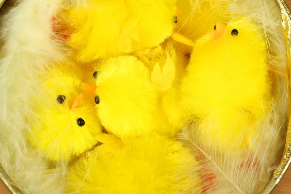 Easter chicks in nest — Stock Photo, Image