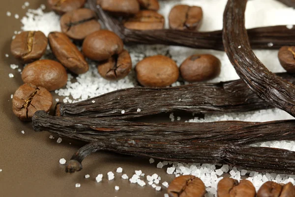Vanilka a kávová zrna — Stock fotografie
