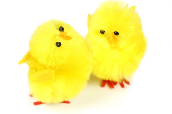 Easter Chicks — Stockfoto