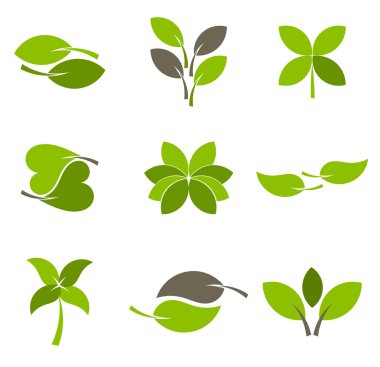 logo yaprak