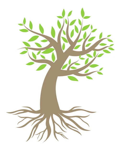 Árbol con raíces — Vector de stock