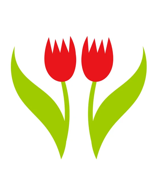 Tulipanes — Vector de stock