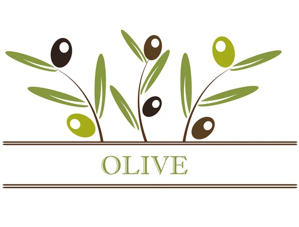 Olives label — Stock Vector